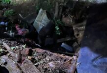 Homem é morto a golpes de facão e corpo é ocultado em fossa em SC