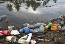 Lixo no esgoto: um problema ambiental e social com soluções simples