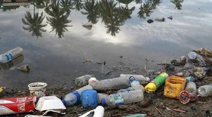 Lixo no esgoto: um problema ambiental e social com soluções simples