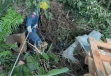 Homem mata irmão a golpes de martelo e esconde corpo por mais de 20 dias