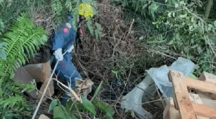 Homem mata irmão a golpes de martelo e esconde corpo por mais de 20 dias