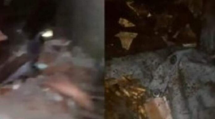 Adolescentes brincam com cadáver e vandalizam túmulo no Paraná