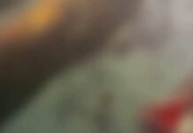 Suspeito de estuprar mulher é linchado e queimado vivo