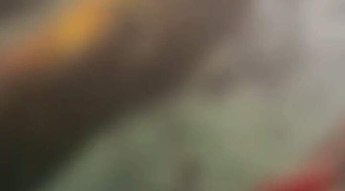 Suspeito de estuprar mulher é linchado e queimado vivo