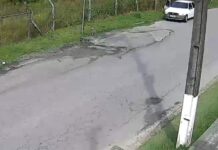 Câmera flagra cachorro sendo abandonado em estrada de Penha