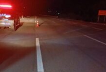 Homem morre atropelado na BR-101 em Piçarras