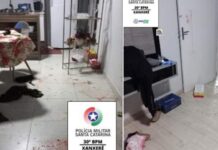 QUEBROU TUDO Marido chega bêbado em casa, asfixia cachorro e espanca esposa