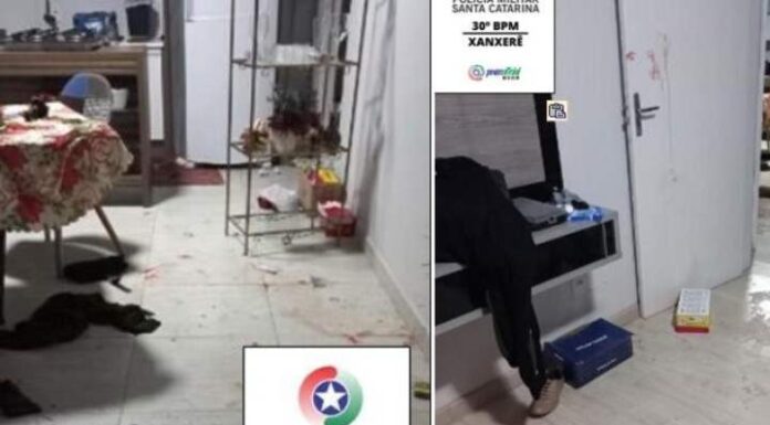 QUEBROU TUDO Marido chega bêbado em casa, asfixia cachorro e espanca esposa