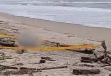 Corpo de homem desaparecido em Barra Velha é encontrado na praia do Ervino em São Francisco do Sul