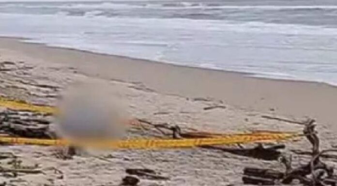 Corpo de homem desaparecido em Barra Velha é encontrado na praia do Ervino em São Francisco do Sul
