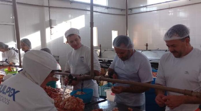 Gilberto Rodrigues visita empresa de beneficiamento de pescado em Penha