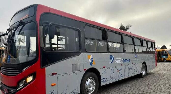 Frota do transporte coletivo em Navegantes passa por renovação