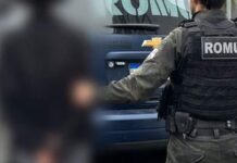 Jovem é detida suspeita de tentar matar a própria mãe a facadas em Balneário Camboriú