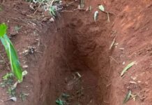 Mulher que teria aberto cova para enterrar ex é achada morta perto do local
