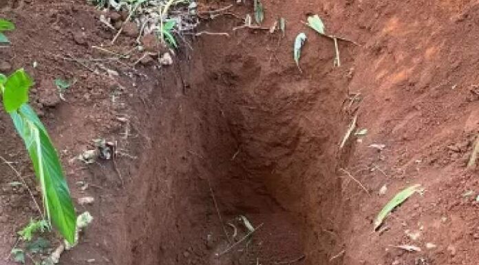 Mulher que teria aberto cova para enterrar ex é achada morta perto do local