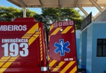 Idosa de 81 anos desaparecida é achada deitada em mata em SC