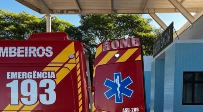 Idosa de 81 anos desaparecida é achada deitada em mata em SC