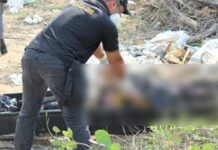 Homem é encontrado morto em vala às margens da BR-470, em Navegantes