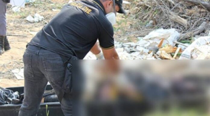 Homem é encontrado morto em vala às margens da BR-470, em Navegantes