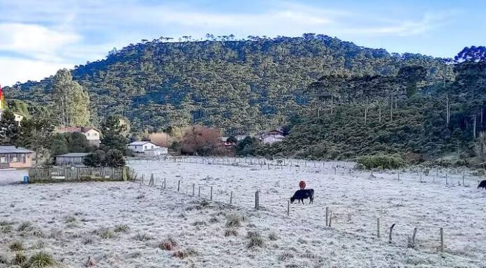 Primavera terá frio tardio, com formação de geada e chuva dentro da média