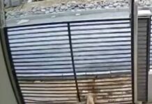 Tutor de pitbulls que atacaram outros cães em Piçarras é preso