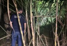 Homem leva 11 tiros e morre em confronto com a PM após roubar caminhonete em Penha