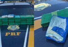 Jovens de 20 anos são presas com 30 quilos de cocaína na BR-101 em Barra Velha