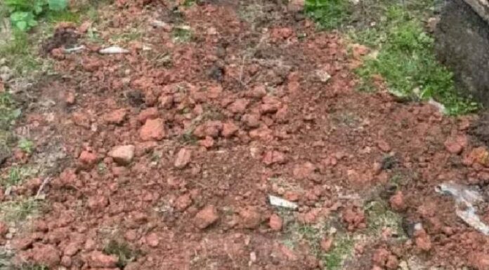 Tutora enterra cachorro vivo e acaba presa em flagrante em Itajaí