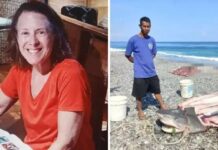 Turista desaparecida é encontrada dentro de tubarão por pescador