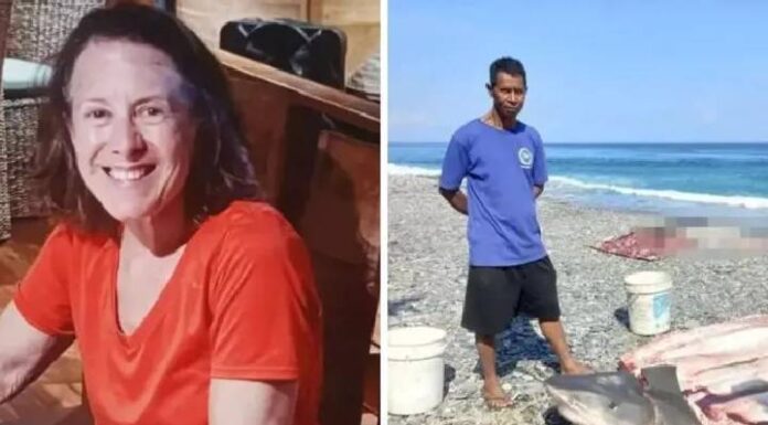 Turista desaparecida é encontrada dentro de tubarão por pescador