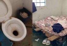 “Cupins e formigas”, diz homem resgatado em fazenda do cantor Leonardo