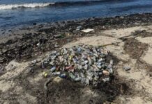 Morador reclama do excesso de sujeira na orla da Praia Alegre em Penha