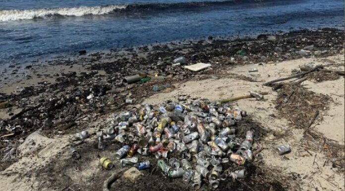 Morador reclama do excesso de sujeira na orla da Praia Alegre em Penha