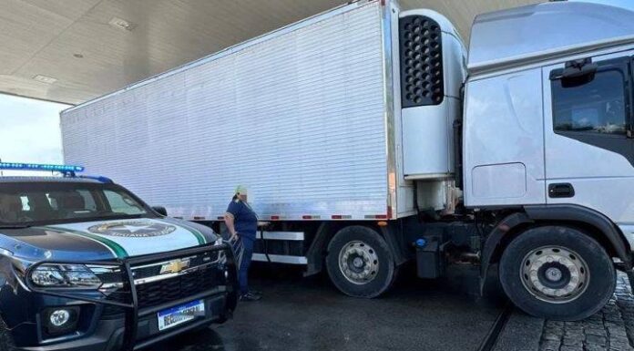 8 toneladas de camarão da Argentina são apreendidas em Barra Velha