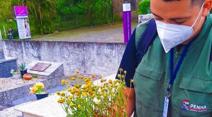 Programa de Combate à Dengue realiza força-tarefa nos cemitérios de Penha