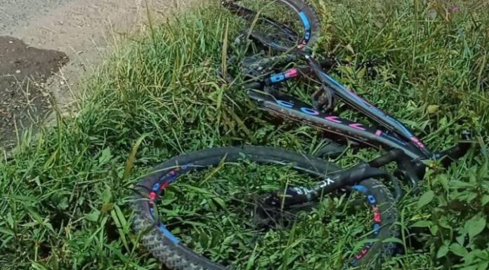 Menina de 13 anos morre esmagada por caminhão em Ilhota