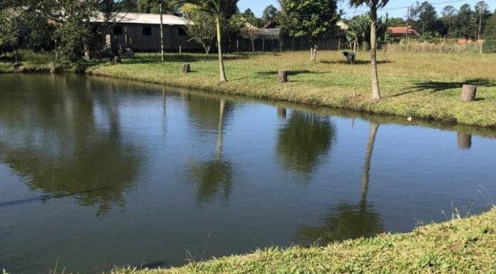 Idosa de 87 anos é encontrada morta dentro de açude em SC