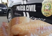 Polícia investiga empresas “fantasmas” para venda de peixe na região