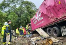 Atletas mortos em acidente na BR-376 voltavam de competição
