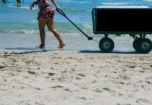 Balneário Piçarras regulamenta atividades comerciais e de ambulantes para a temporada de verão 2024/2025