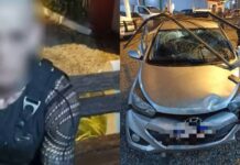 Travesti alucinada invade presídio em Itapema após atropelar motoboy