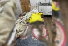 Idoso remove restos mortais da mãe de cemitério e leva para casa em SC