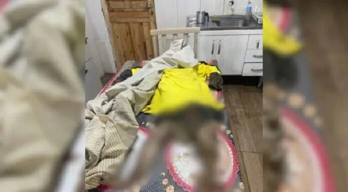 Idoso remove restos mortais da mãe de cemitério e leva para casa em SC