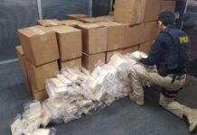 VÍDEO: Maior carga de cocaína na história de SC é apreendida na BR-101