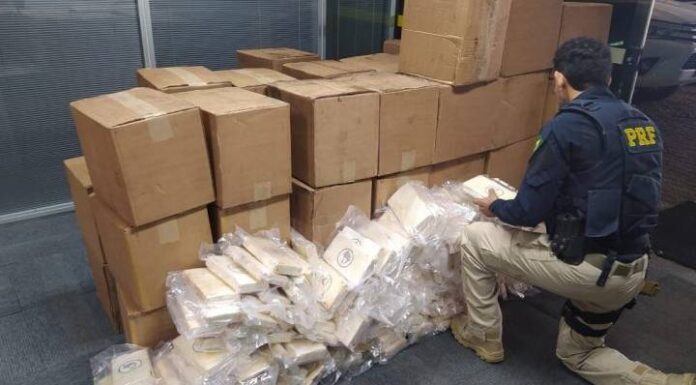 VÍDEO: Maior carga de cocaína na história de SC é apreendida na BR-101