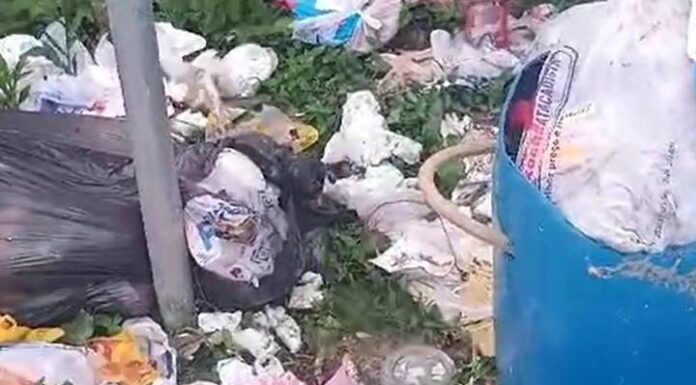 VIDEO Moradora de Penha reclama do acúmulo de lixo jogado pela vizinhança na frente da sua casa