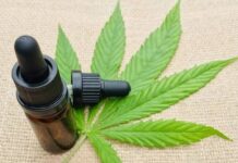 LEGALIZE JÁ Deputados aprovam distribuição gratuita de cannabis medicinal em SC
