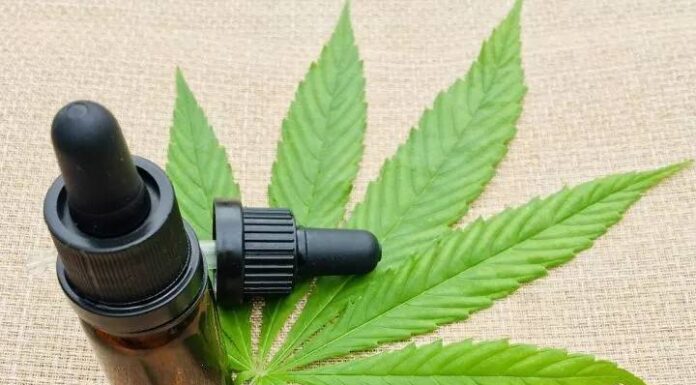 LEGALIZE JÁ Deputados aprovam distribuição gratuita de cannabis medicinal em SC