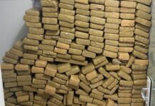 Casa em Itajaí com mais de 400 quilos de drogas é descoberta após denúncia anônima