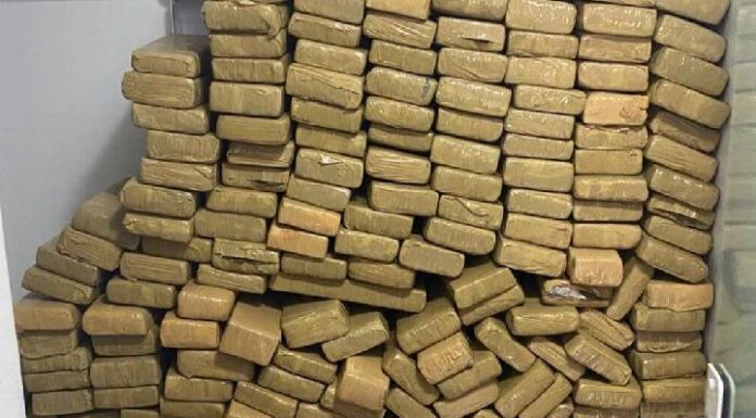 Casa em Itajaí com mais de 400 quilos de drogas é descoberta após denúncia anônima
